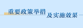 重要政策舉措及實施效果