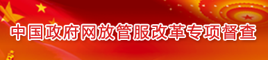 中國政府網放管服改革專項督查